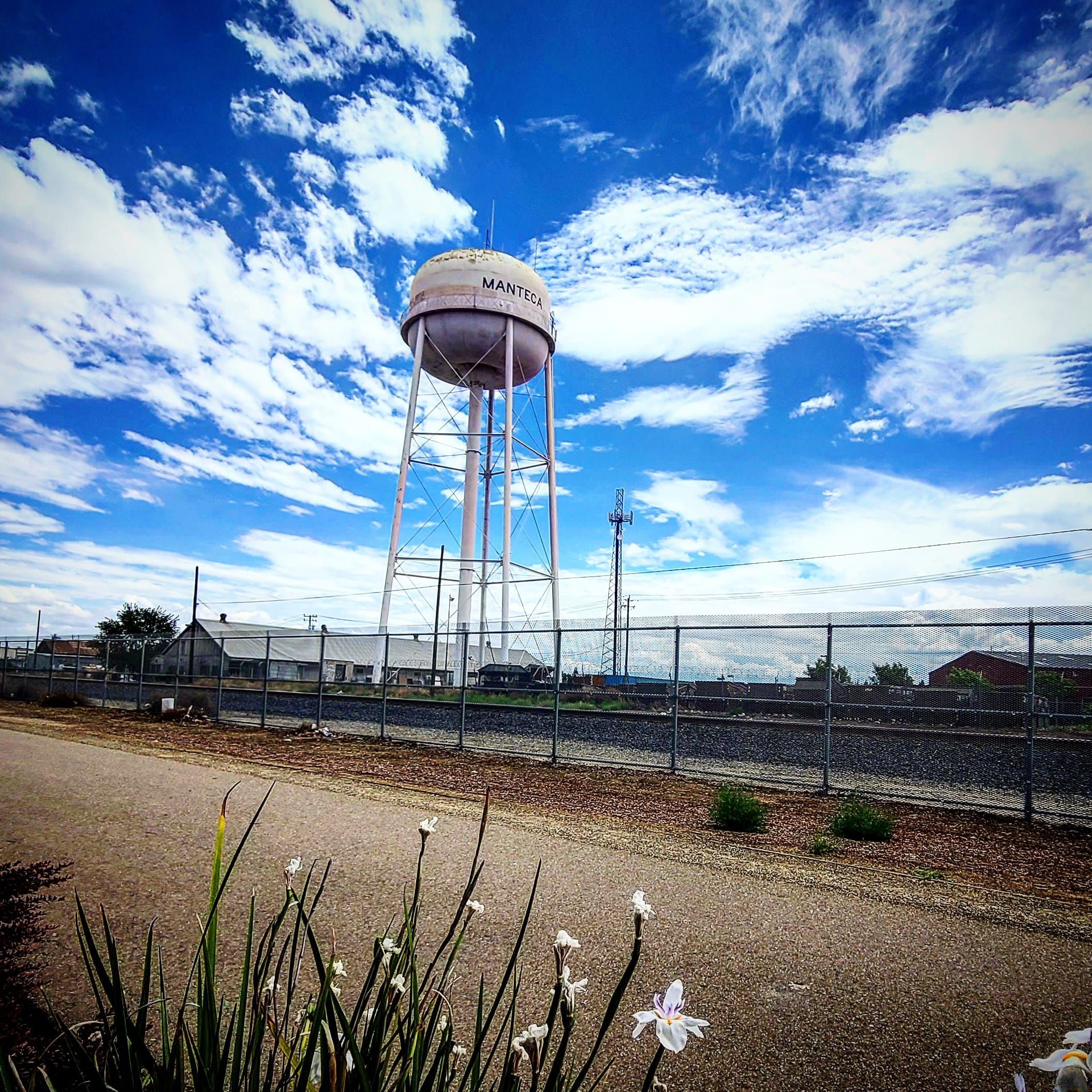 Bean & Leaf Cafe: Manteca Water Tower